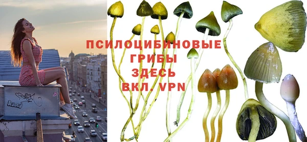 каннабис Балахна